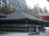 life_061_img-06.jpg
